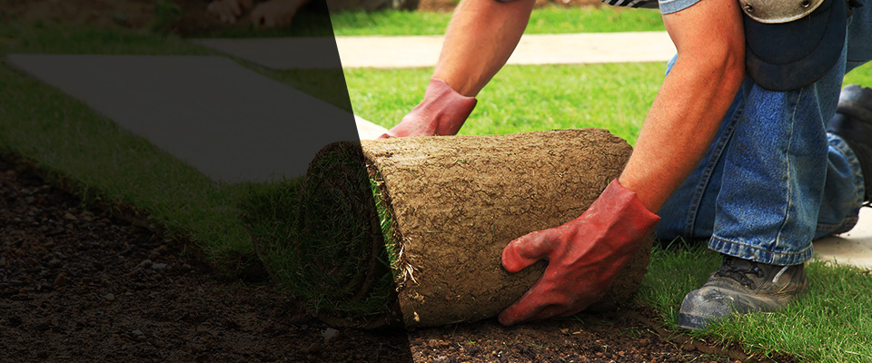 Okatie Landscapers